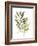 Lichen & Leaves III-June Vess-Framed Art Print