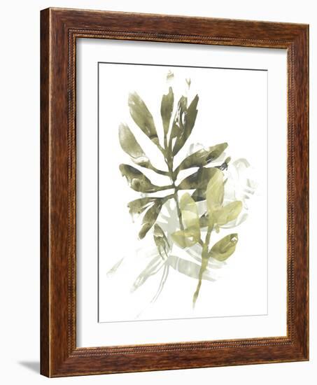 Lichen & Leaves III-June Vess-Framed Art Print