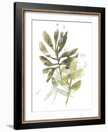 Lichen & Leaves III-June Vess-Framed Art Print