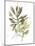 Lichen & Leaves III-June Vess-Mounted Art Print