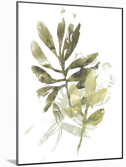 Lichen & Leaves III-June Vess-Mounted Art Print