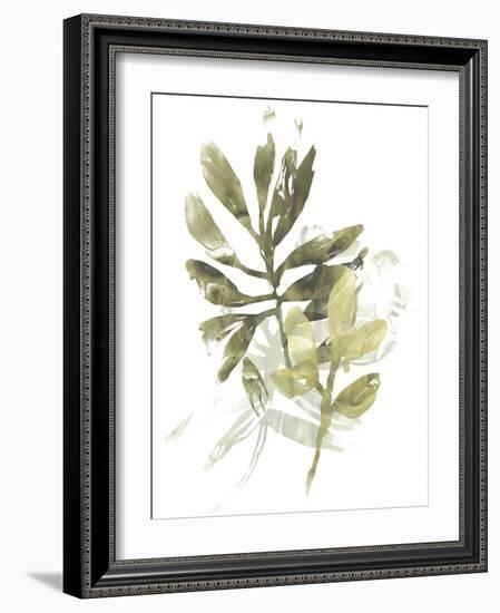 Lichen & Leaves III-June Vess-Framed Art Print