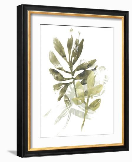 Lichen & Leaves III-June Vess-Framed Art Print