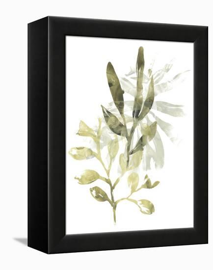 Lichen & Leaves IV-June Vess-Framed Stretched Canvas