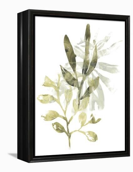 Lichen & Leaves IV-June Vess-Framed Stretched Canvas