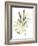 Lichen & Leaves IV-June Vess-Framed Art Print