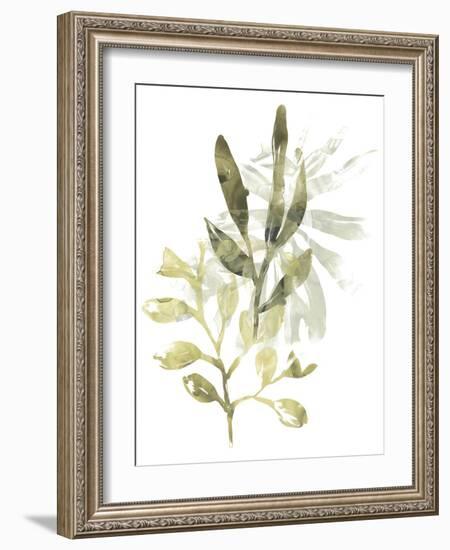 Lichen & Leaves IV-June Vess-Framed Art Print