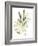 Lichen & Leaves IV-June Vess-Framed Art Print