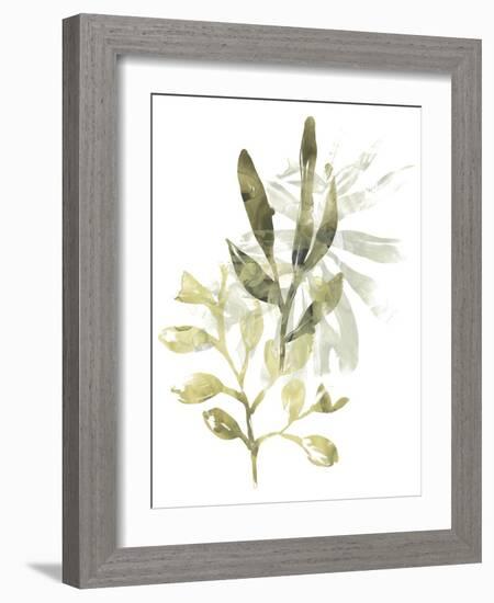 Lichen & Leaves IV-June Vess-Framed Art Print