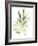 Lichen & Leaves IV-June Vess-Framed Art Print