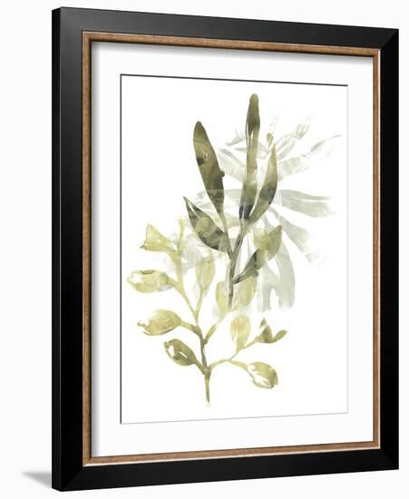 Lichen & Leaves IV-June Vess-Framed Art Print