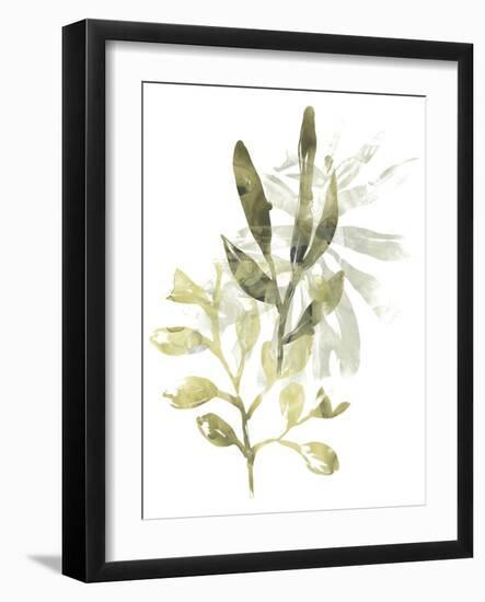 Lichen & Leaves IV-June Vess-Framed Art Print