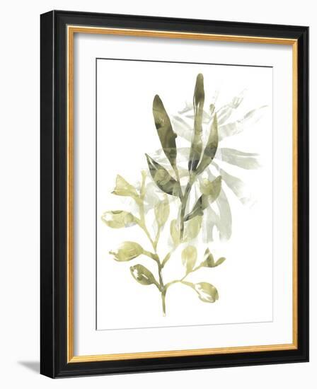 Lichen & Leaves IV-June Vess-Framed Art Print