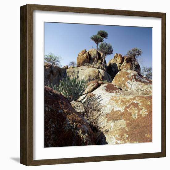 Lichen-Stained Boulders and Euphorbia Trees Add Form and Colour to Lake Eyasi's Impressive Western -Nigel Pavitt-Framed Photographic Print