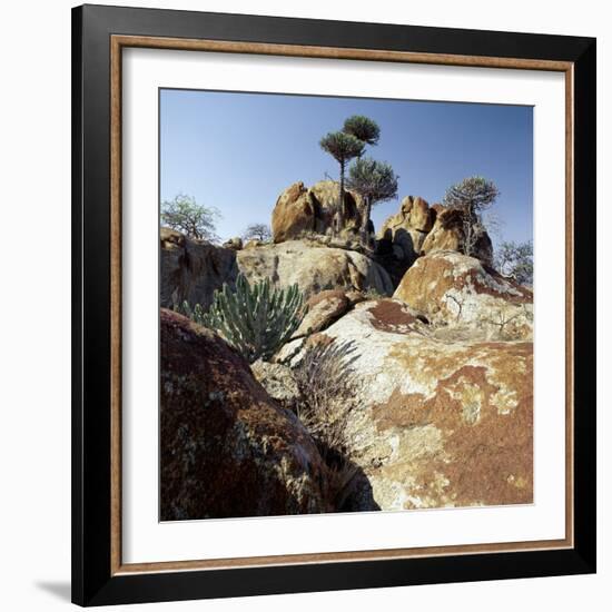 Lichen-Stained Boulders and Euphorbia Trees Add Form and Colour to Lake Eyasi's Impressive Western -Nigel Pavitt-Framed Photographic Print