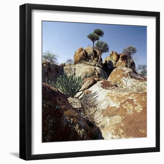 Lichen-Stained Boulders and Euphorbia Trees Add Form and Colour to Lake Eyasi's Impressive Western -Nigel Pavitt-Framed Photographic Print