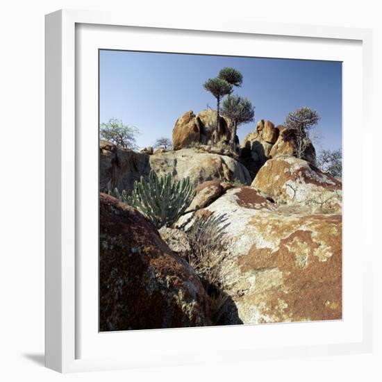 Lichen-Stained Boulders and Euphorbia Trees Add Form and Colour to Lake Eyasi's Impressive Western -Nigel Pavitt-Framed Photographic Print