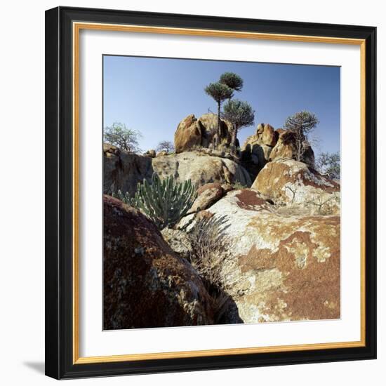 Lichen-Stained Boulders and Euphorbia Trees Add Form and Colour to Lake Eyasi's Impressive Western -Nigel Pavitt-Framed Photographic Print