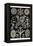 Lichens-Ernst Haeckel-Framed Stretched Canvas