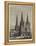 Lichfield Cathedral-Samuel Read-Framed Premier Image Canvas