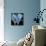 Licmorpha Freshwater Diatom, SEM-Steve Gschmeissner-Framed Premier Image Canvas displayed on a wall