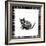 Licorice-David Sheskin-Framed Giclee Print