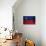 Liechtenstein Flag-budastock-Art Print displayed on a wall