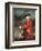 Lieutenant Colonel Francis Smith (1723-91) 1764-Francis Cotes-Framed Giclee Print