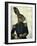 Lieutenant Hare-Fab Funky-Framed Premium Giclee Print