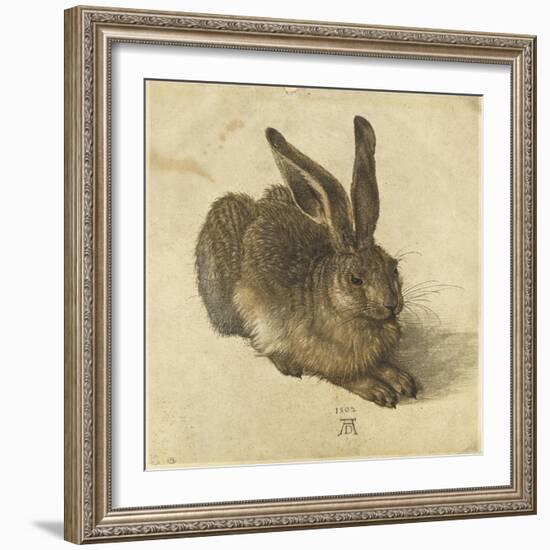 Lièvre couché, tourné vers la droite-Albrecht Dürer-Framed Giclee Print