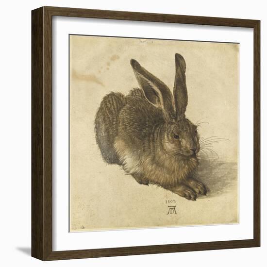 Lièvre couché, tourné vers la droite-Albrecht Dürer-Framed Giclee Print