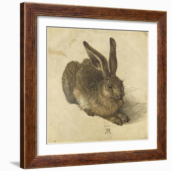 Lièvre couché, tourné vers la droite-Albrecht Dürer-Framed Giclee Print