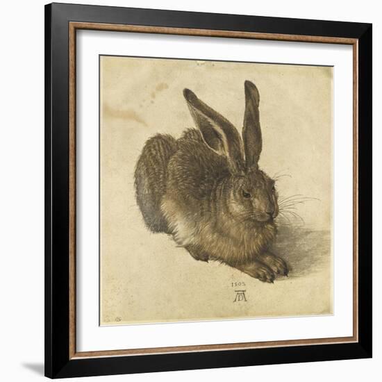 Lièvre couché, tourné vers la droite-Albrecht Dürer-Framed Giclee Print