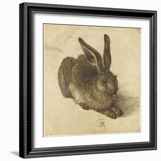 Lièvre couché, tourné vers la droite-Albrecht Dürer-Framed Giclee Print