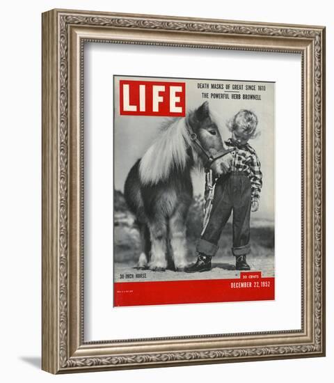 LIFE 30 inch Horse 1952-null-Framed Art Print