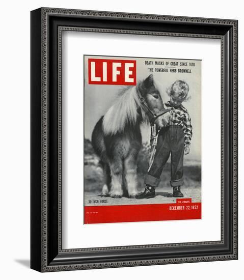 LIFE 30 inch Horse 1952-null-Framed Art Print