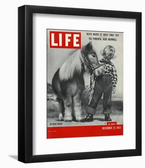 LIFE 30 inch Horse 1952-null-Framed Art Print