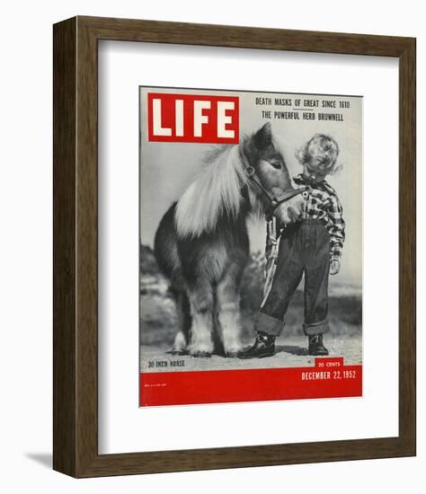 LIFE 30 inch Horse 1952-null-Framed Art Print