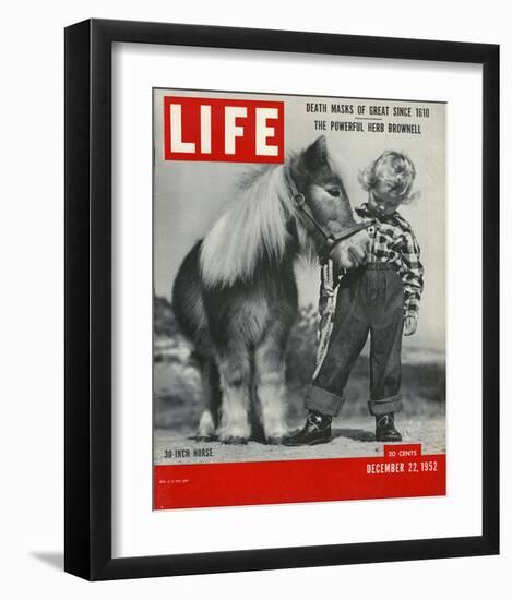 LIFE 30 inch Horse 1952-null-Framed Art Print