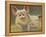 Life as a Pig II-Carolyne Hawley-Framed Stretched Canvas