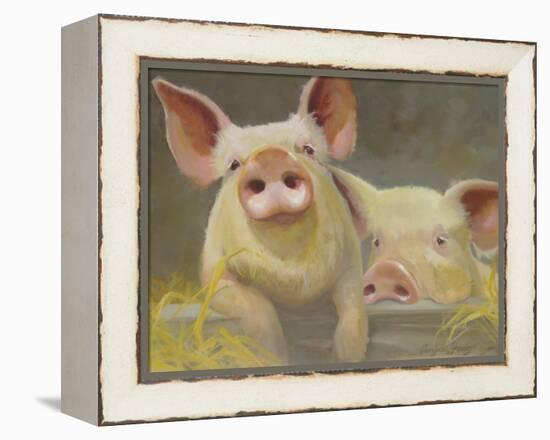 Life as a Pig II-Carolyne Hawley-Framed Stretched Canvas