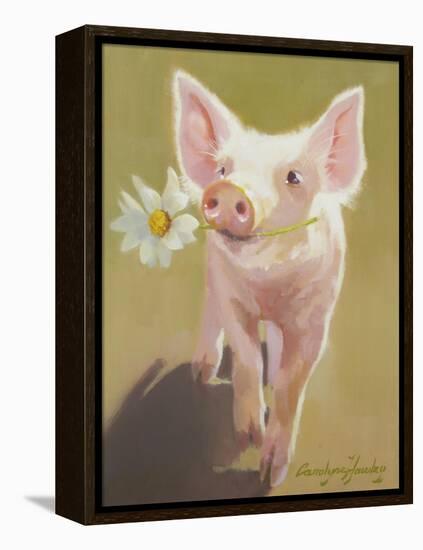 Life as a Pig IV-Carolyne Hawley-Framed Stretched Canvas