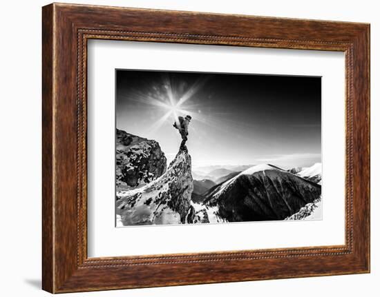 Life At the Top-Marian Krivosik-Framed Photographic Print