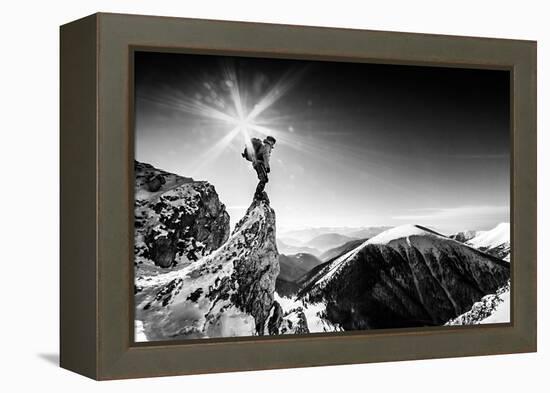 Life At the Top-Marian Krivosik-Framed Premier Image Canvas