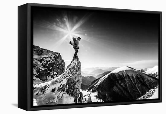 Life At the Top-Marian Krivosik-Framed Premier Image Canvas