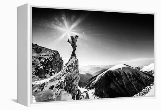 Life At the Top-Marian Krivosik-Framed Premier Image Canvas