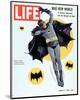 LIFE Batman Mad New World 1966-null-Mounted Premium Giclee Print