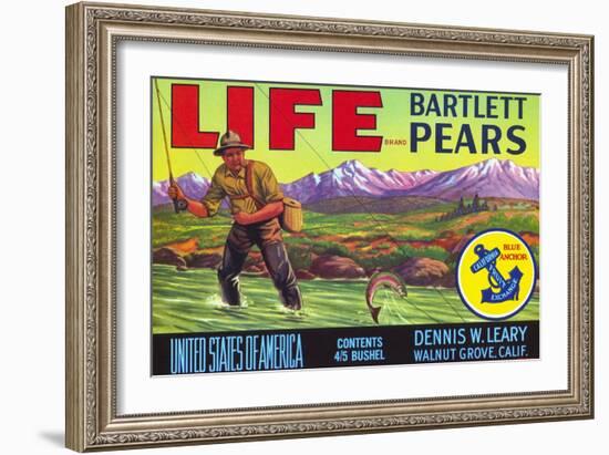 Life Brand Bartlett Pears Fruit Crate Label-null-Framed Giclee Print