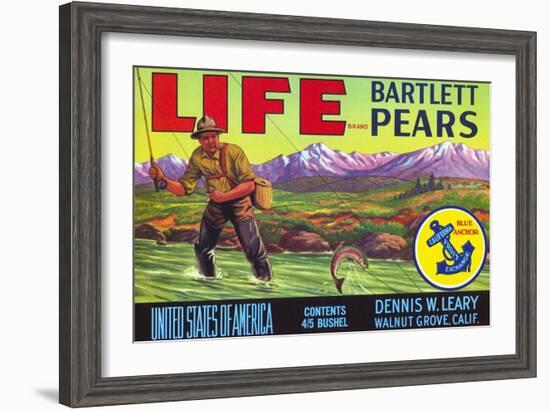 Life Brand Bartlett Pears Fruit Crate Label-null-Framed Giclee Print