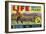 Life Brand Bartlett Pears Fruit Crate Label-null-Framed Giclee Print